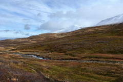 Ausblick von der Route 94 Borgafjarðarhreppur