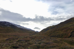 Ausblick von der Route 94 Borgafjarðarhreppur
