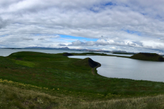 Myvatn area Vogel-Naturschutzgebiet Skútustaðir